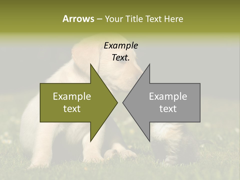 Jungtier Haustier Welpen PowerPoint Template