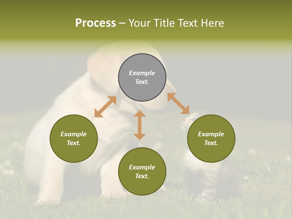 Jungtier Haustier Welpen PowerPoint Template