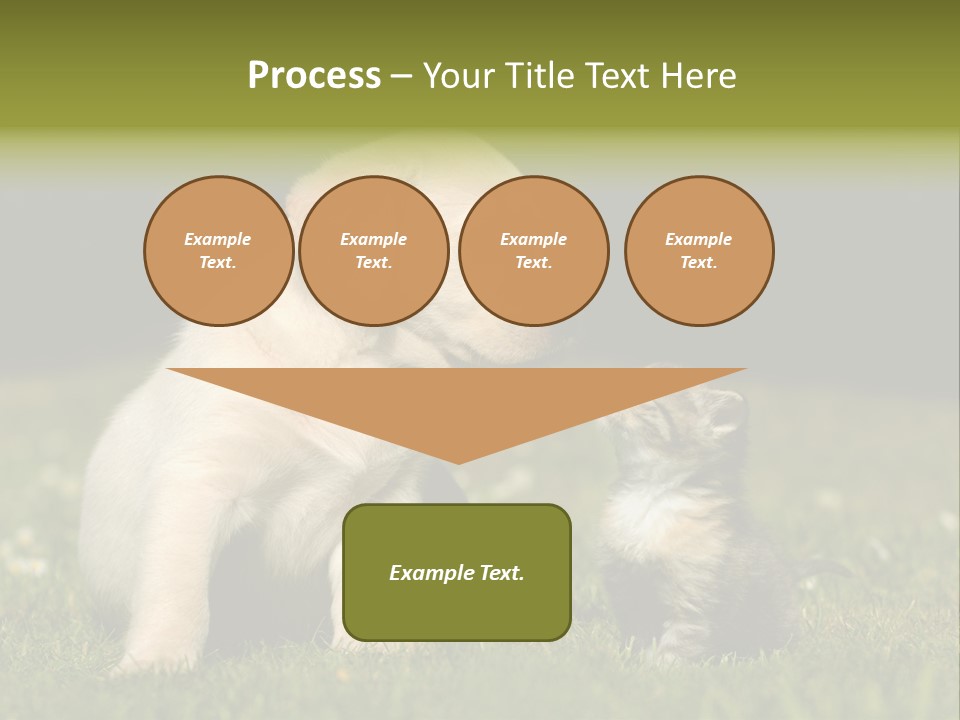 Jungtier Haustier Welpen PowerPoint Template