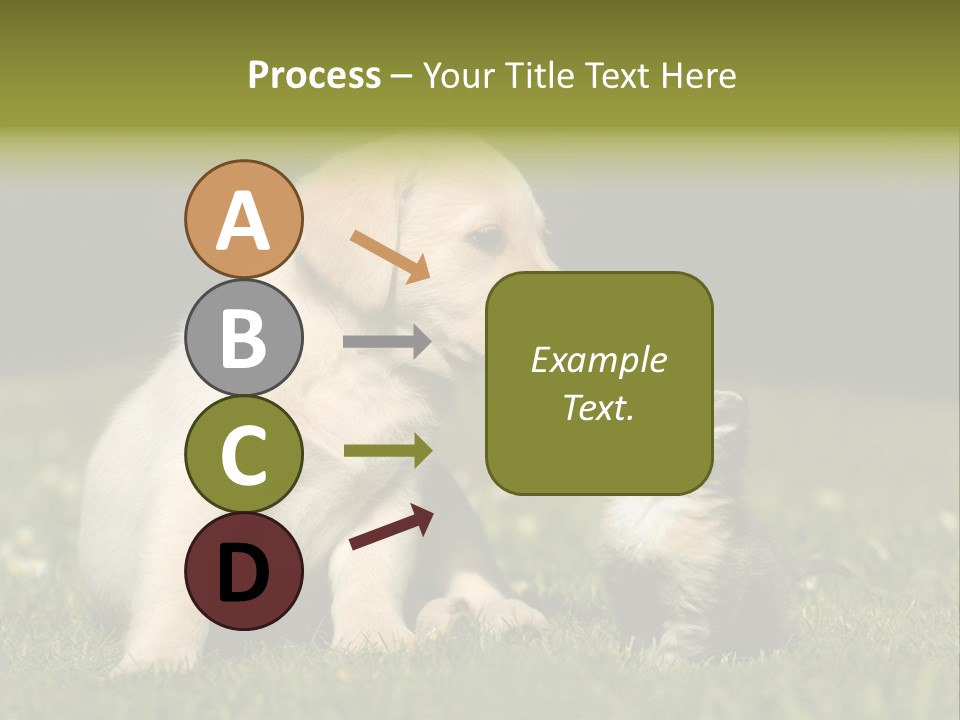 Jungtier Haustier Welpen PowerPoint Template