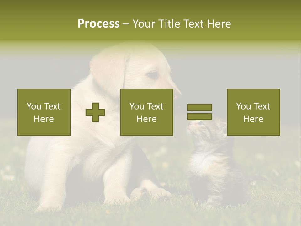 Jungtier Haustier Welpen PowerPoint Template