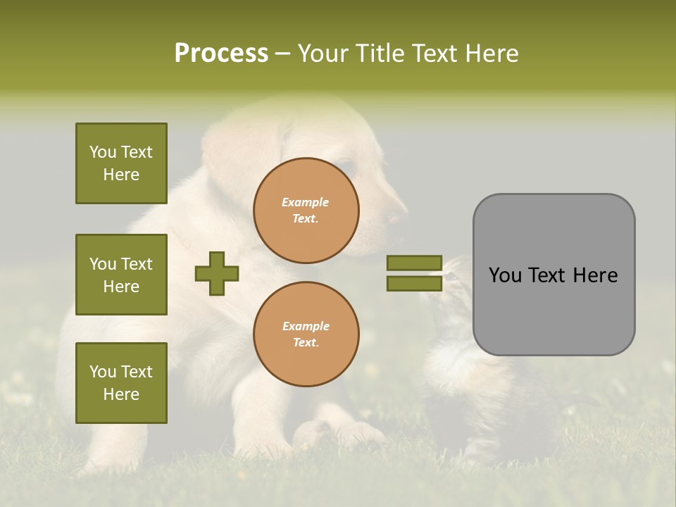 Jungtier Haustier Welpen PowerPoint Template