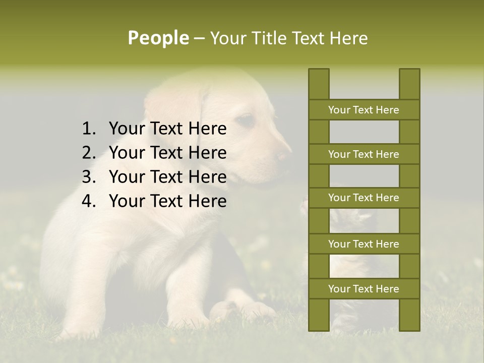 Jungtier Haustier Welpen PowerPoint Template