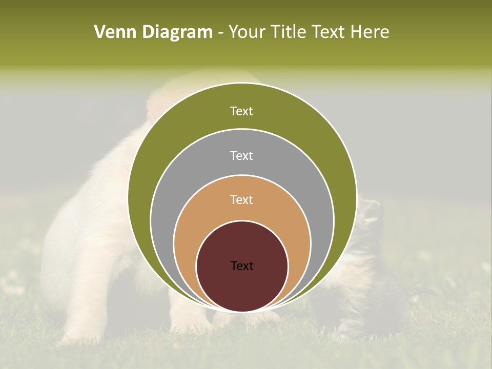 Jungtier Haustier Welpen PowerPoint Template