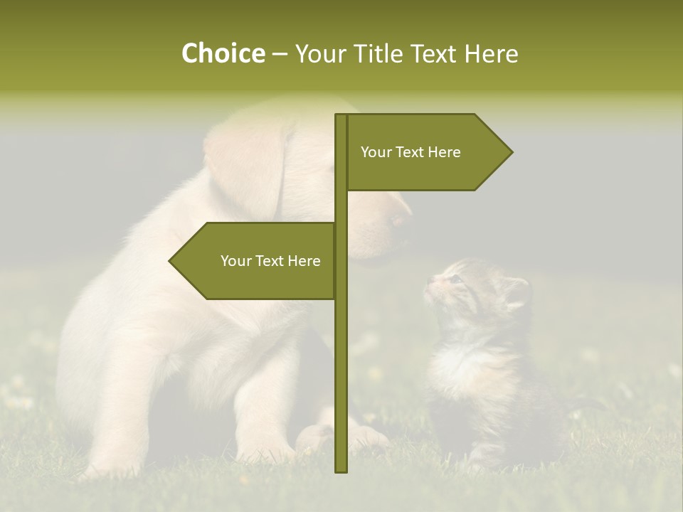 Jungtier Haustier Welpen PowerPoint Template