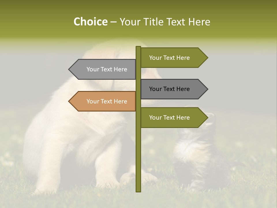 Jungtier Haustier Welpen PowerPoint Template