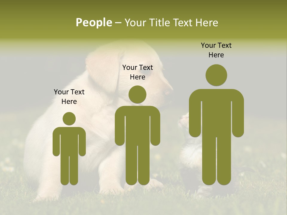 Jungtier Haustier Welpen PowerPoint Template