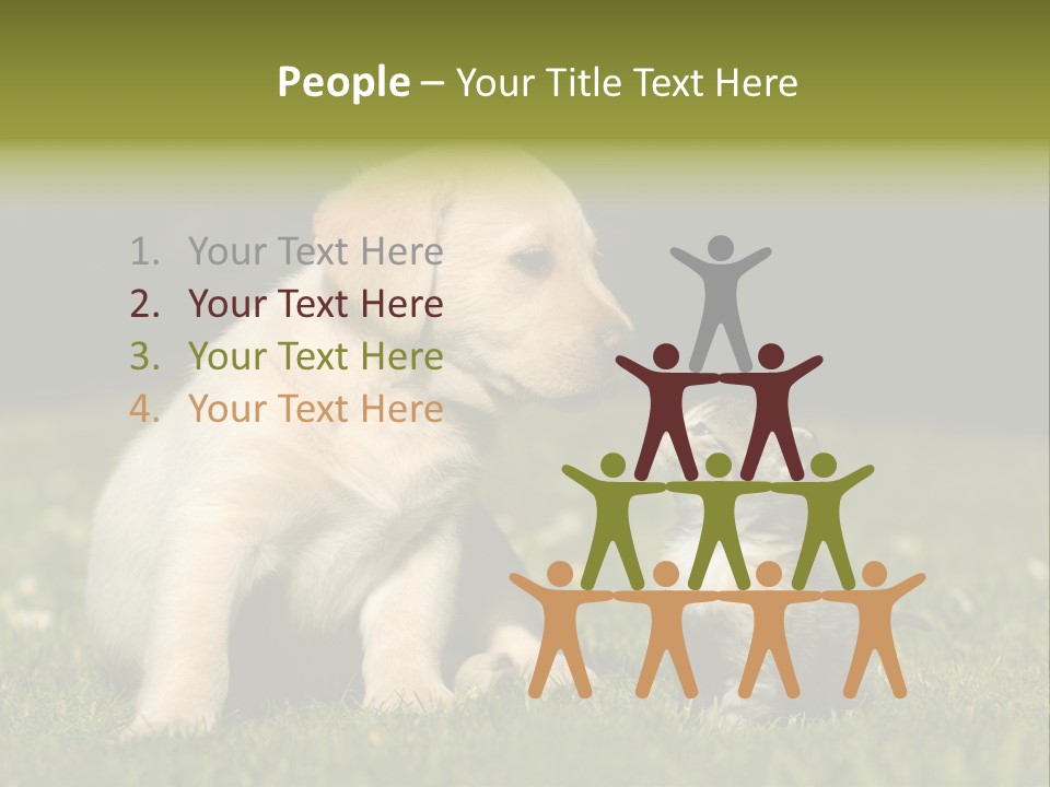 Jungtier Haustier Welpen PowerPoint Template