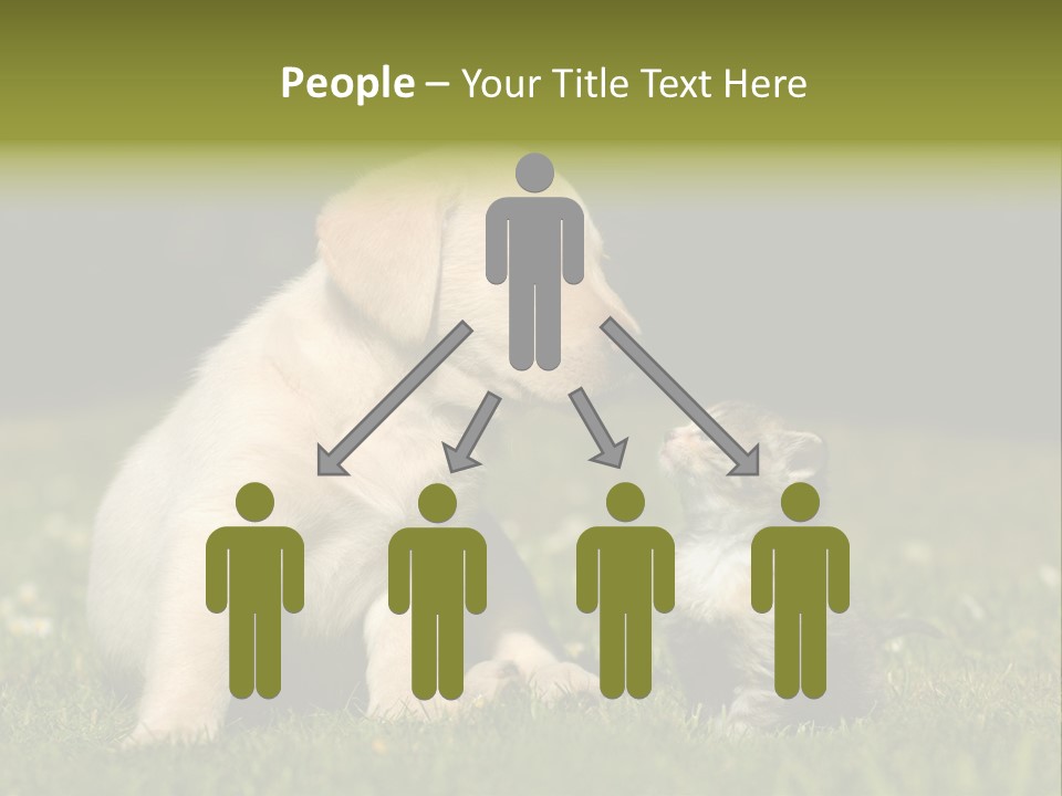 Jungtier Haustier Welpen PowerPoint Template