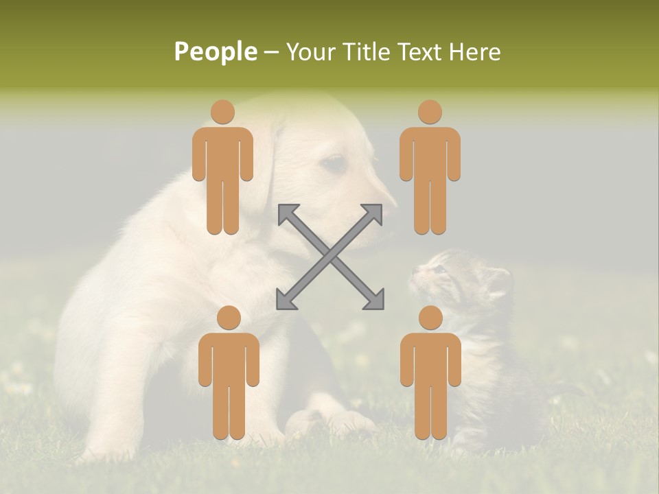 Jungtier Haustier Welpen PowerPoint Template