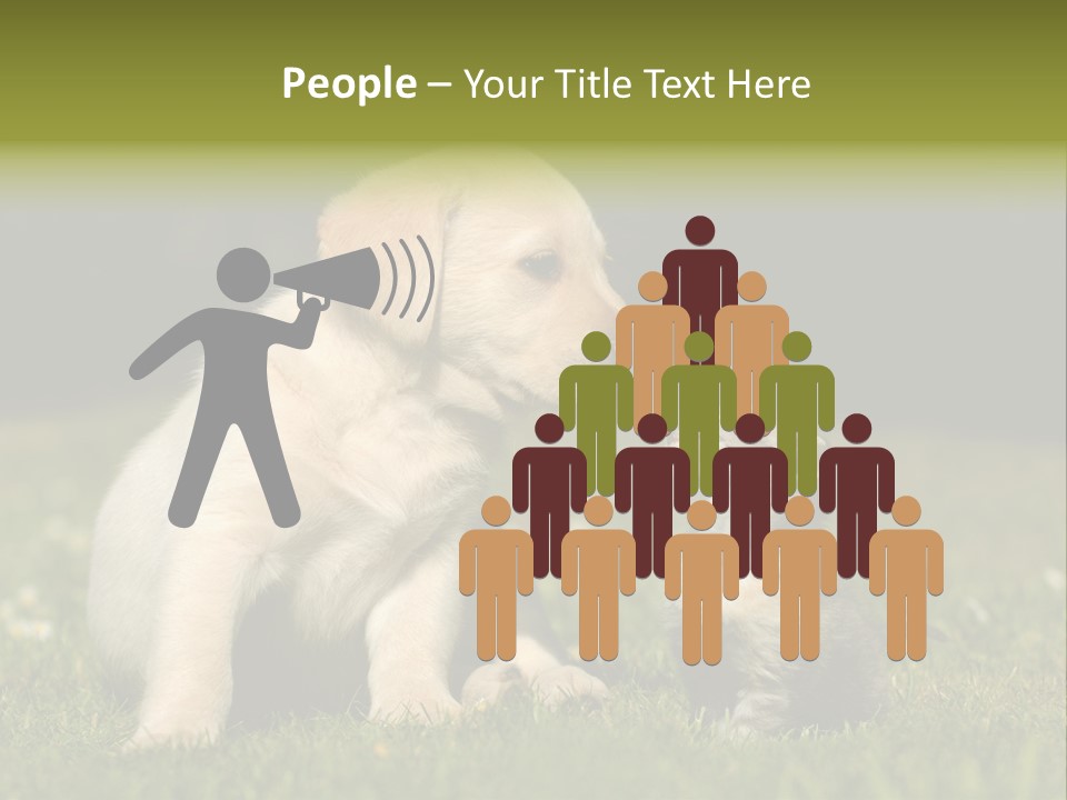 Jungtier Haustier Welpen PowerPoint Template