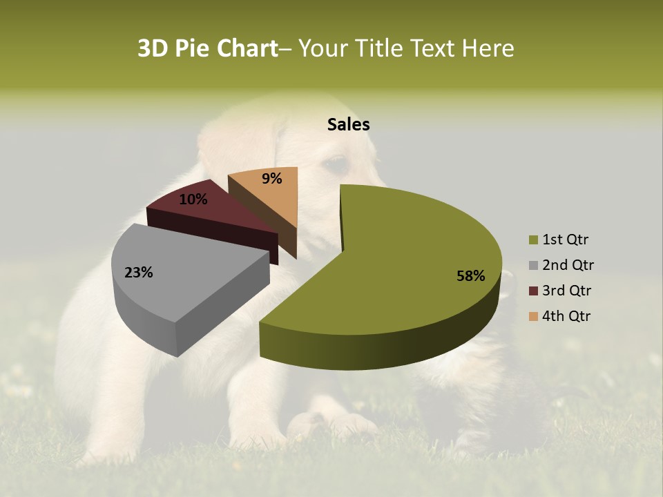 Jungtier Haustier Welpen PowerPoint Template