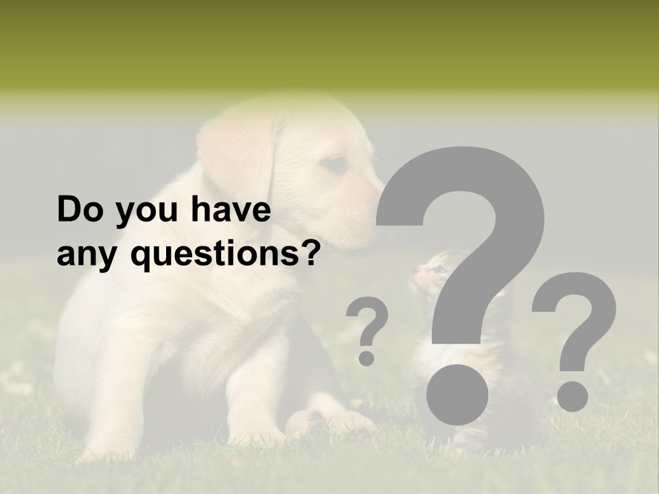 Jungtier Haustier Welpen PowerPoint Template