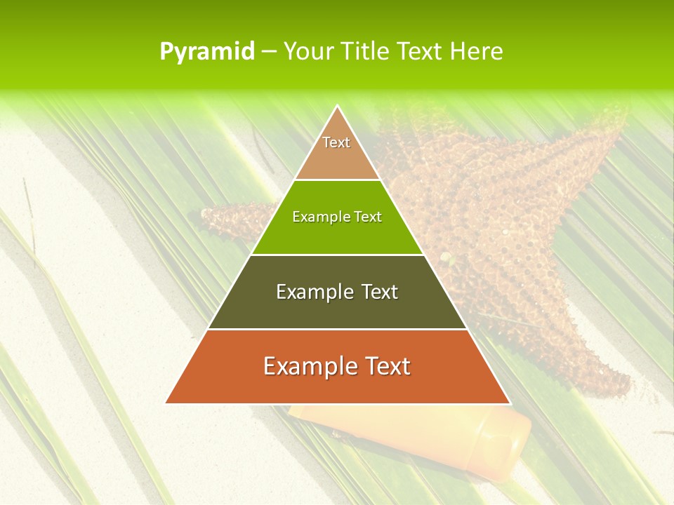 Turquoise Sunbathing Caribbean PowerPoint Template