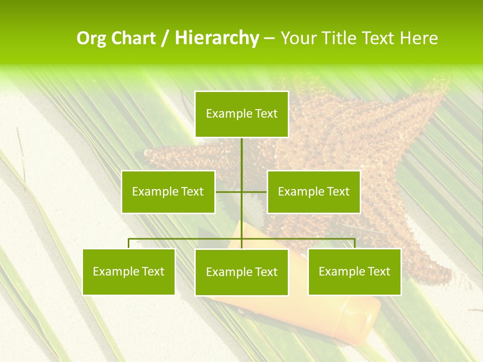 Turquoise Sunbathing Caribbean PowerPoint Template