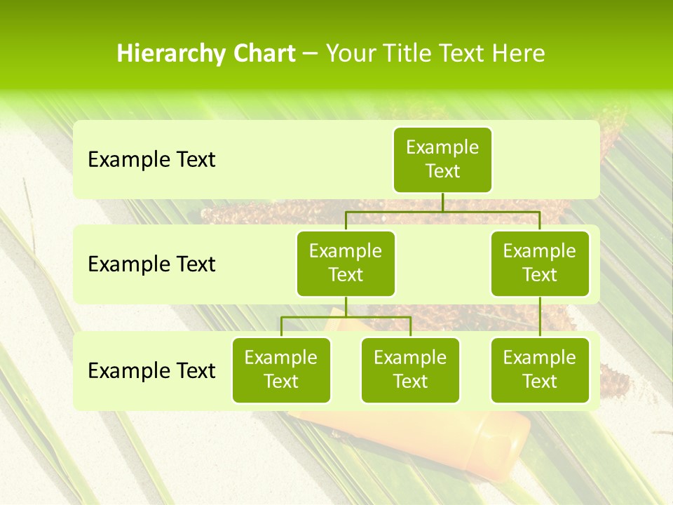 Turquoise Sunbathing Caribbean PowerPoint Template