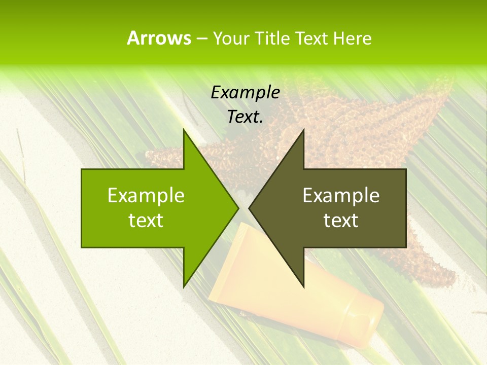 Turquoise Sunbathing Caribbean PowerPoint Template