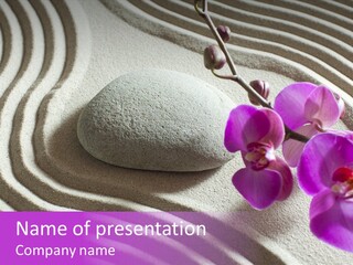 Curve Massage Relaxation PowerPoint Template