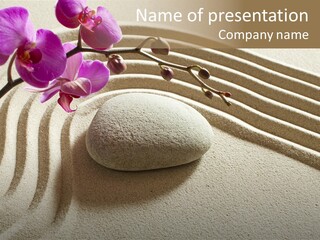 Concentration Sinuous Peaceful PowerPoint Template