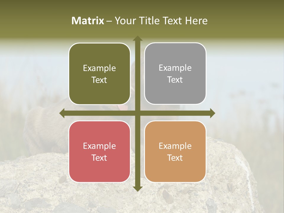 Assis Endurance Dehors PowerPoint Template