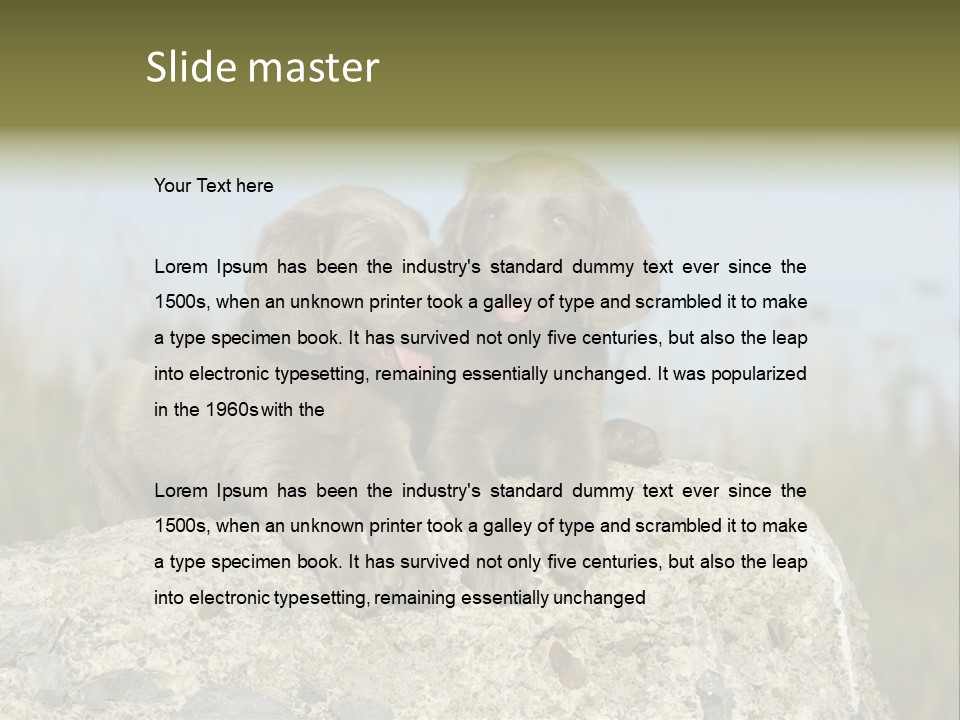 Assis Endurance Dehors PowerPoint Template