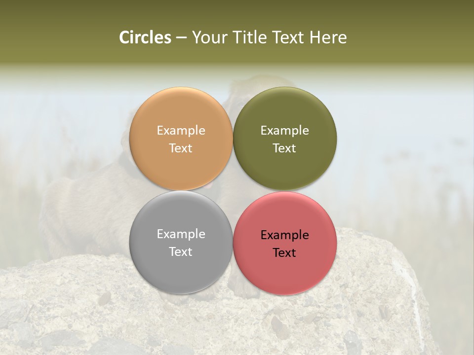 Assis Endurance Dehors PowerPoint Template