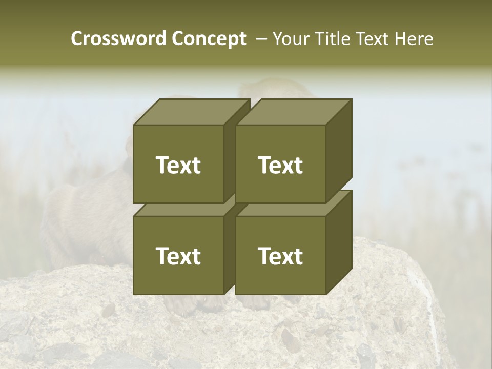 Assis Endurance Dehors PowerPoint Template