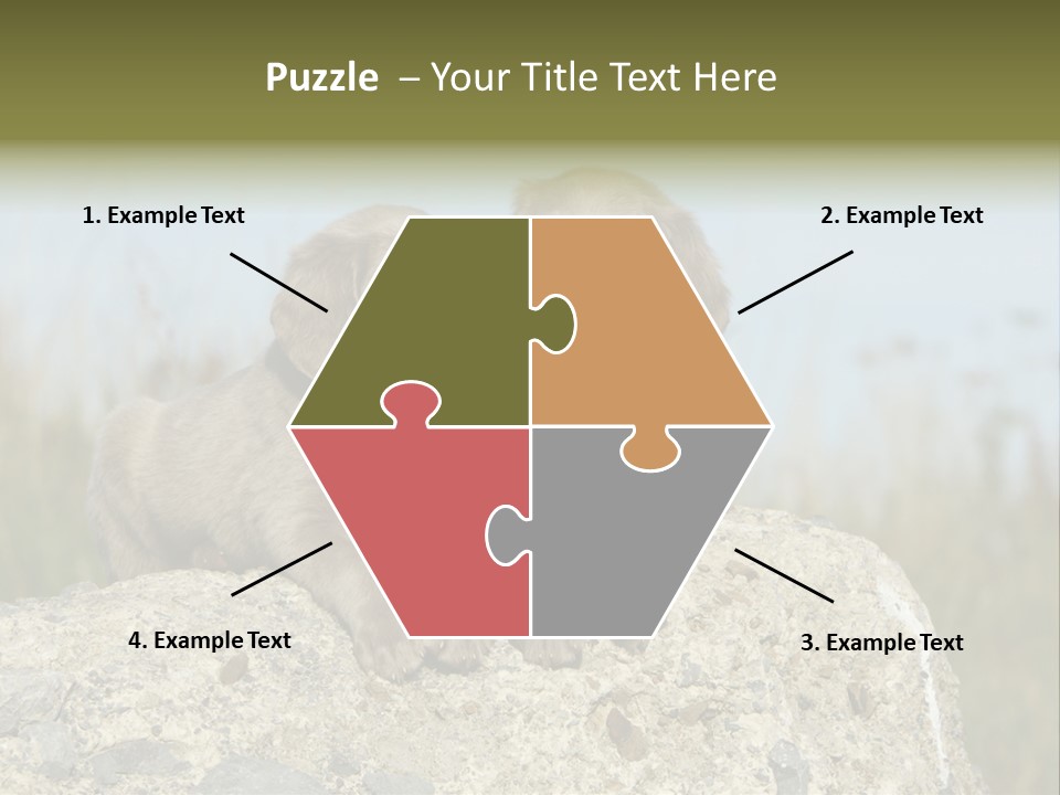 Assis Endurance Dehors PowerPoint Template