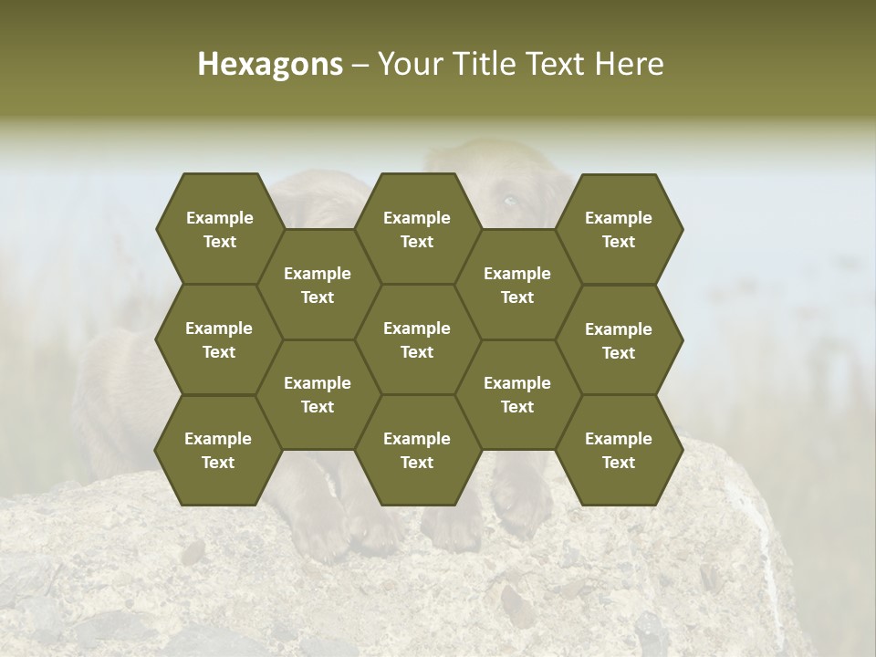 Assis Endurance Dehors PowerPoint Template