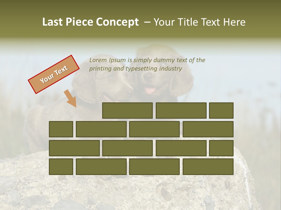 Assis Endurance Dehors PowerPoint Template