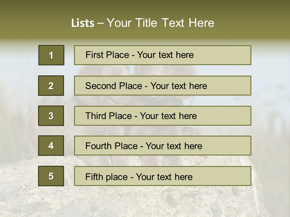 Assis Endurance Dehors PowerPoint Template