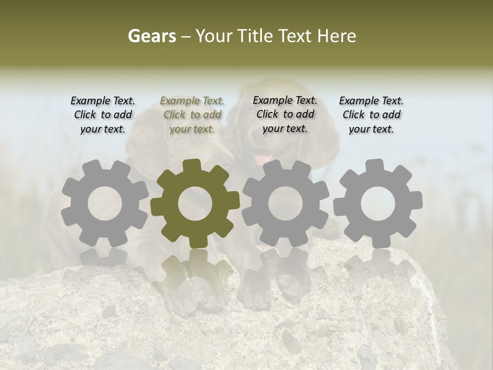 Assis Endurance Dehors PowerPoint Template