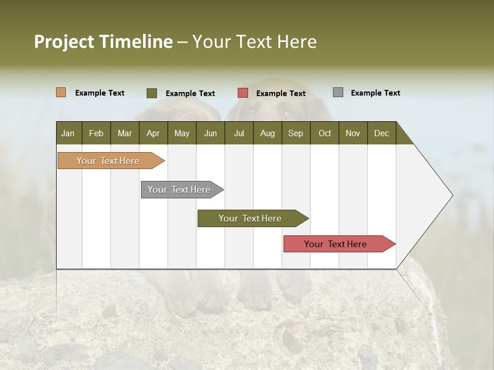 Assis Endurance Dehors PowerPoint Template