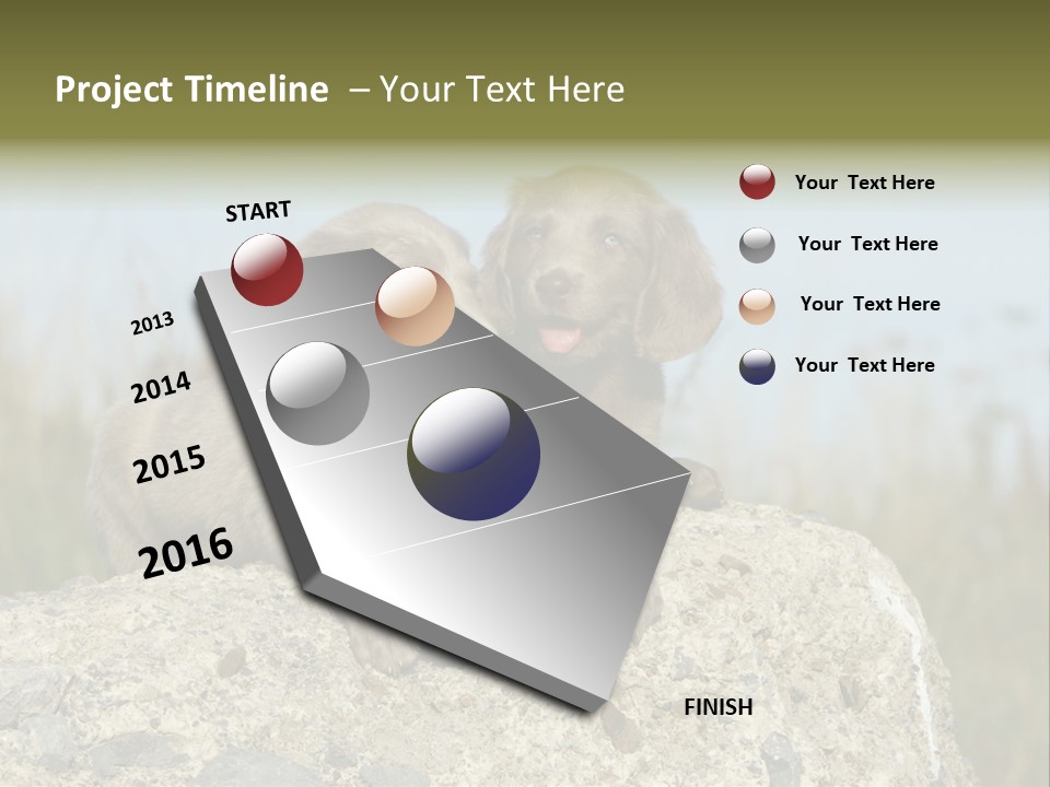 Assis Endurance Dehors PowerPoint Template