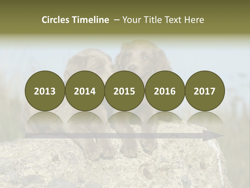 Assis Endurance Dehors PowerPoint Template