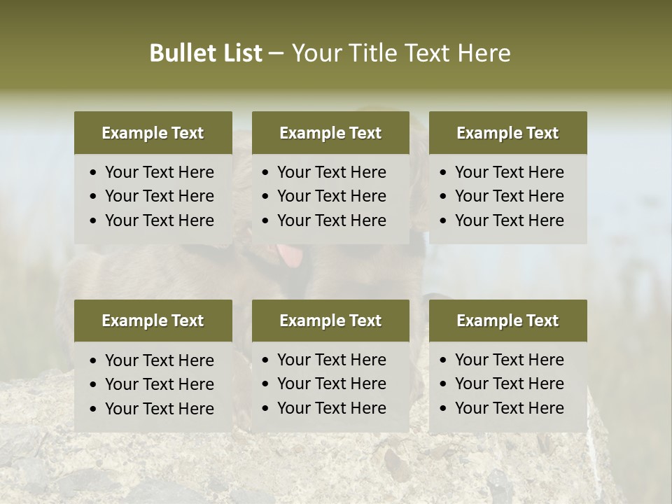 Assis Endurance Dehors PowerPoint Template