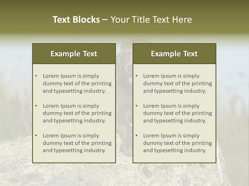 Assis Endurance Dehors PowerPoint Template