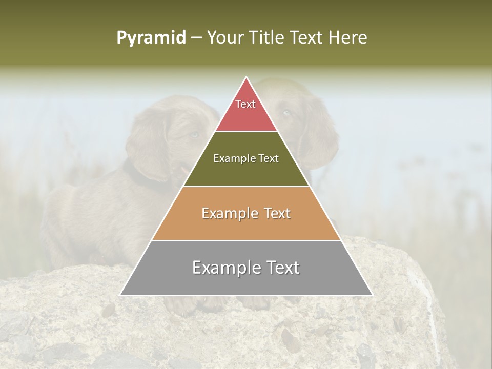 Assis Endurance Dehors PowerPoint Template