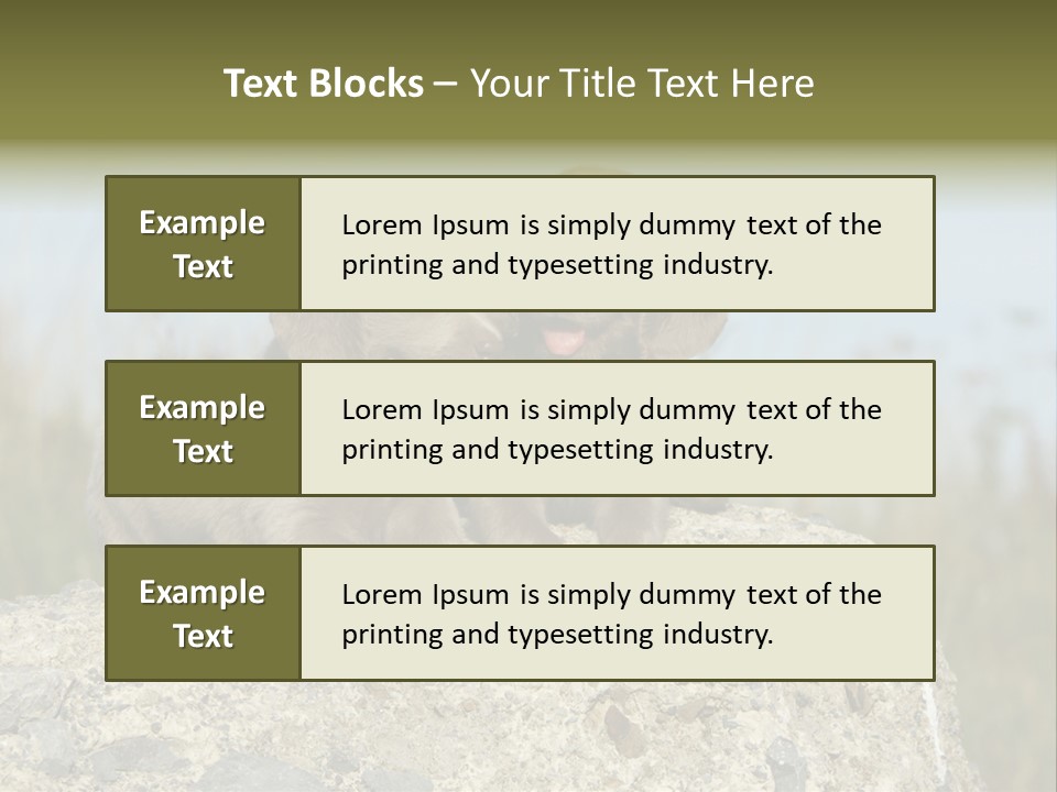 Assis Endurance Dehors PowerPoint Template