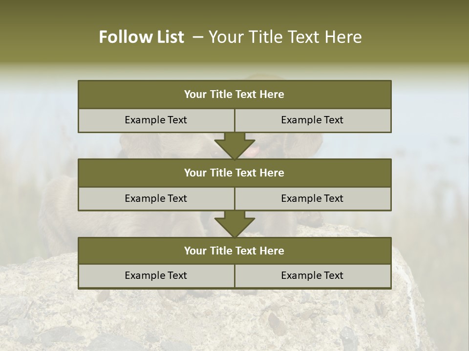 Assis Endurance Dehors PowerPoint Template