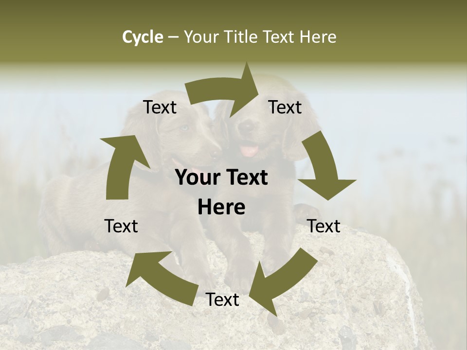 Assis Endurance Dehors PowerPoint Template