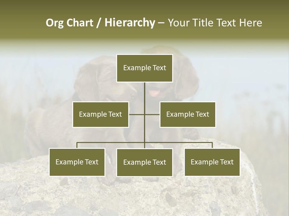 Assis Endurance Dehors PowerPoint Template