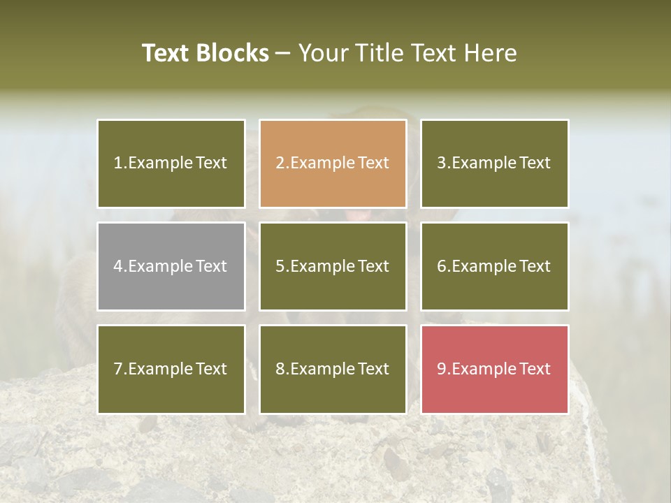 Assis Endurance Dehors PowerPoint Template