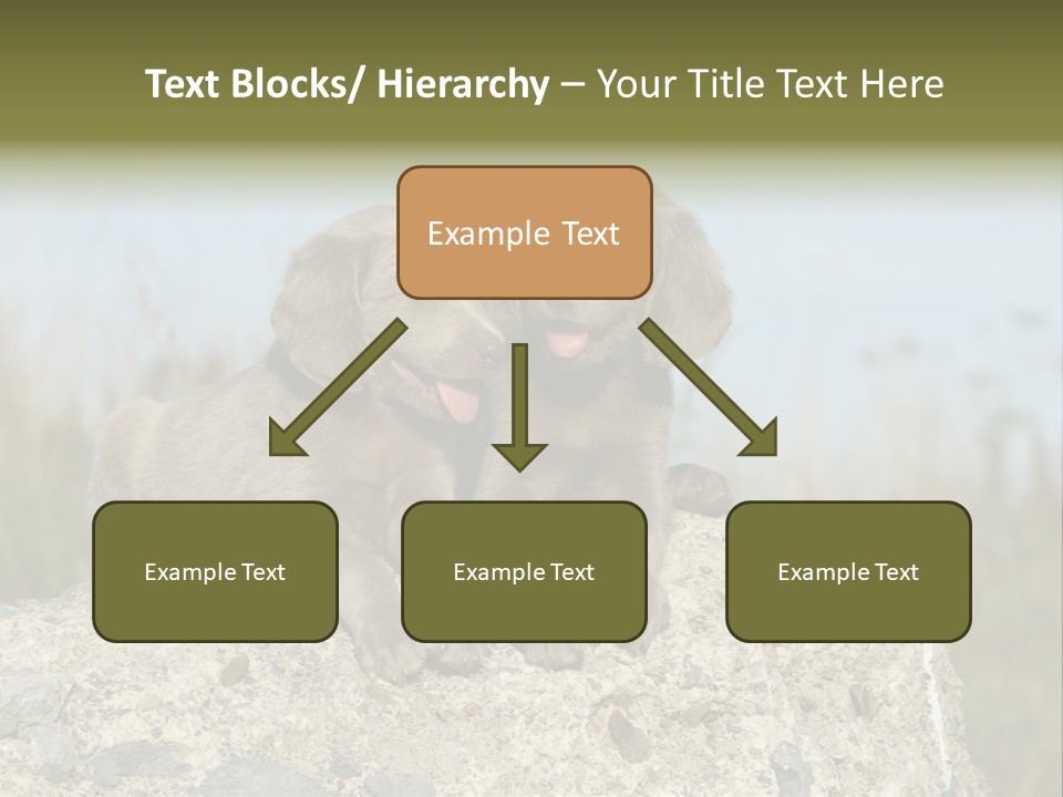 Assis Endurance Dehors PowerPoint Template
