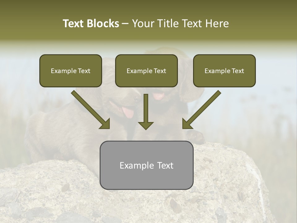Assis Endurance Dehors PowerPoint Template