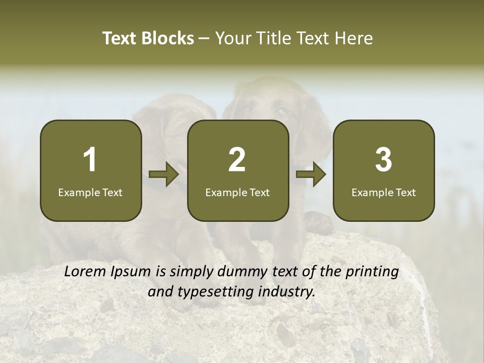 Assis Endurance Dehors PowerPoint Template