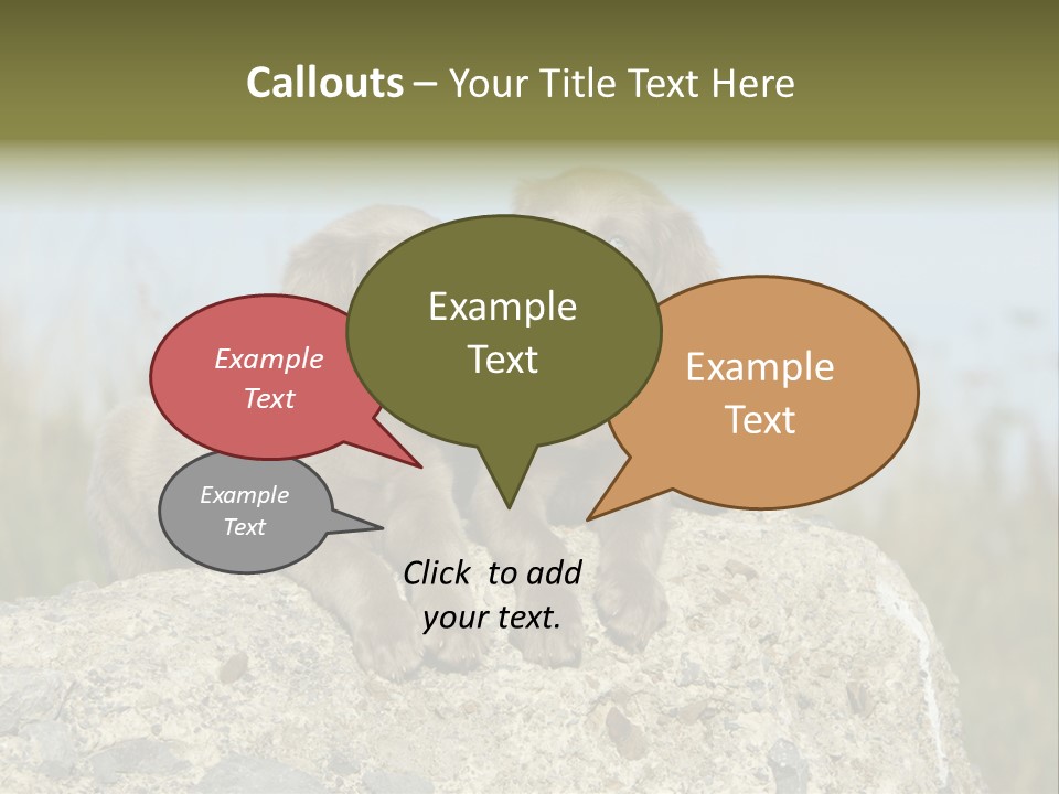 Assis Endurance Dehors PowerPoint Template
