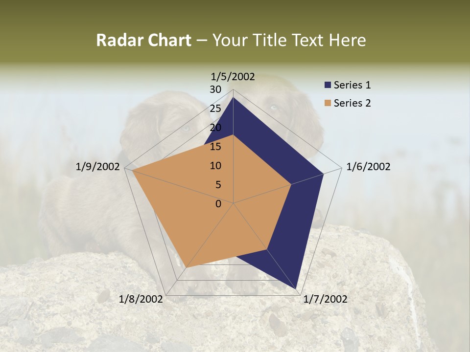 Assis Endurance Dehors PowerPoint Template