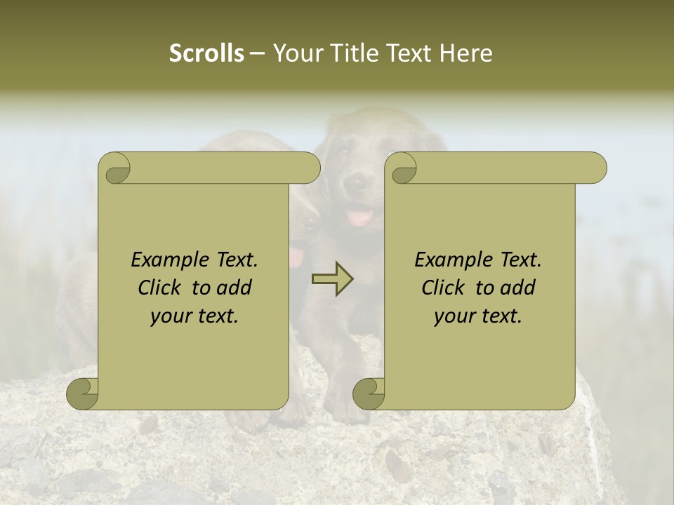 Assis Endurance Dehors PowerPoint Template