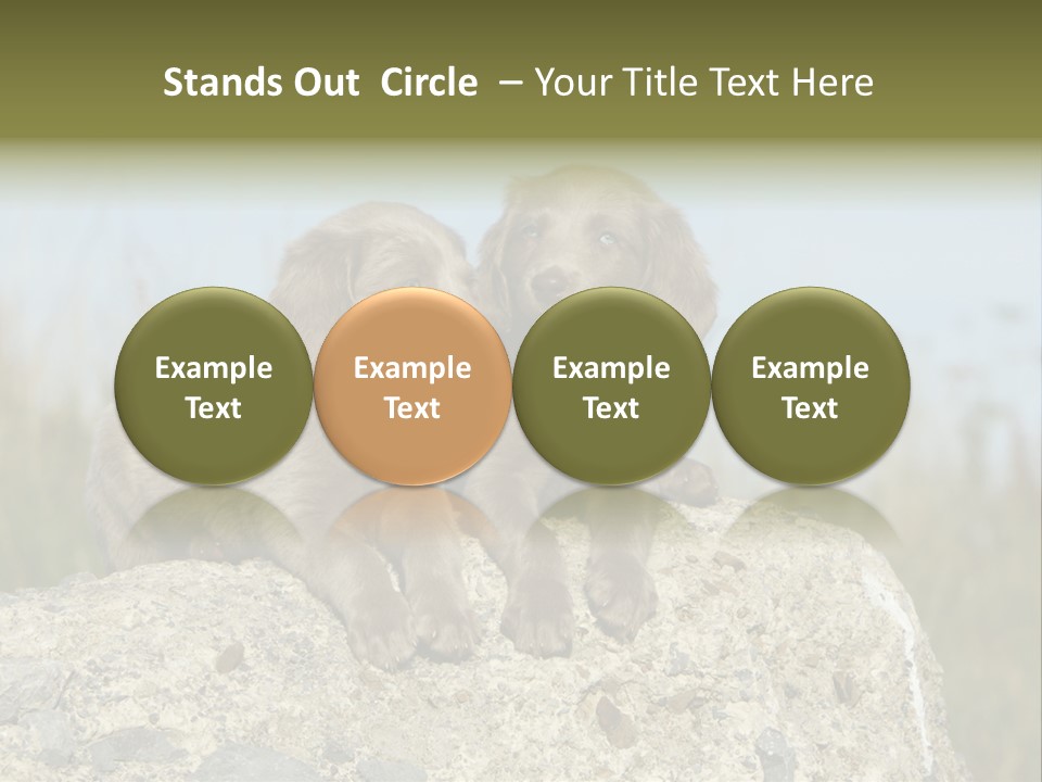 Assis Endurance Dehors PowerPoint Template